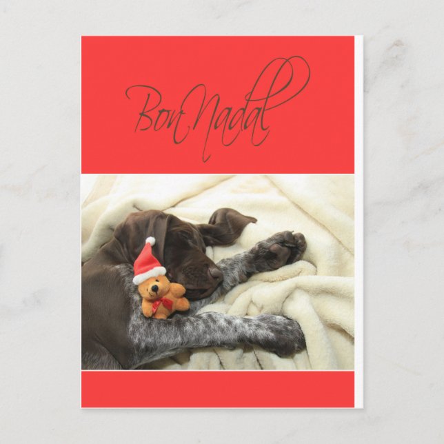 Cartes Pour Fêtes Annuelles Glossy Grizzly Noël Bon Nadal (Devant)