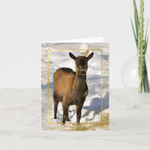 Cartes Pour Fêtes Annuelles Goat in the Snow Xmas