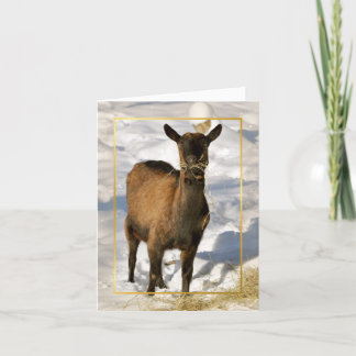 Cartes Pour Fêtes Annuelles Goat in the Snow Xmas