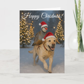 Cartes Pour Fêtes Annuelles Golden Labrador and Partridge Christmas card