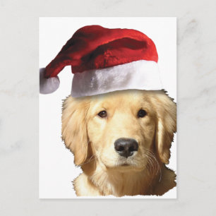 Cartes Pour Fêtes Annuelles Golden Retriever À Santa Hat