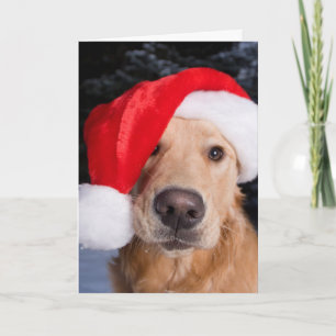 Cartes Pour Fêtes Annuelles Golden Retriever à Santa Hat