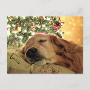 Cartes Pour Fêtes Annuelles Golden Retriever Asleep By Christmas Tree