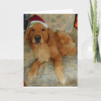 Cartes Pour Fêtes Annuelles Golden Retriever at Christmas