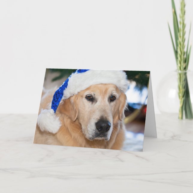 Cartes Pour Fêtes Annuelles Golden retriever avec le casquette de père Noël (Devant)