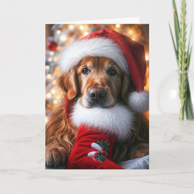 Cartes Pour Fêtes Annuelles Golden Retriever avec une réserve de Noël (Devant)