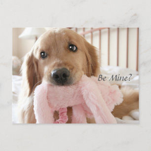 Cartes Pour Fêtes Annuelles Golden Retriever Be Mine Saint Valentin