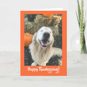 Cartes Pour Fêtes Annuelles Golden Retriever Chien avec Thanksgiving Citrouill