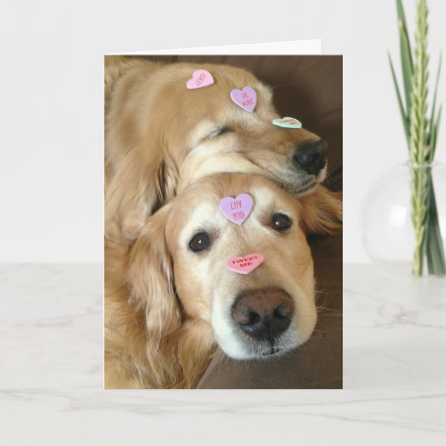 Cartes Pour Fêtes Annuelles Golden Retriever Chien Valentine Coeurs de convers (Devant)