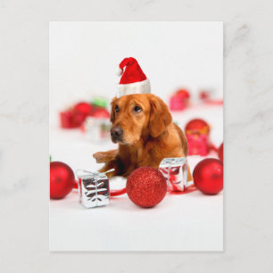 Cartes Pour Fêtes Annuelles Golden Retriever Chien W Red Santa Chapel Noël