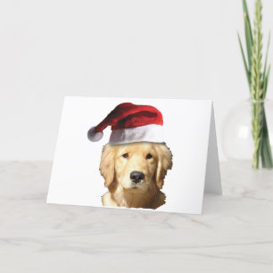 Cartes Pour Fêtes Annuelles Golden retriever dans le casquette de Père Noël
