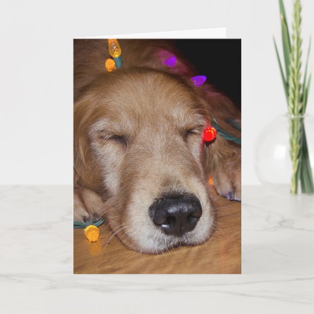 Cartes Pour Fêtes Annuelles Golden Retriever dans les lumières de Noël (Devant)