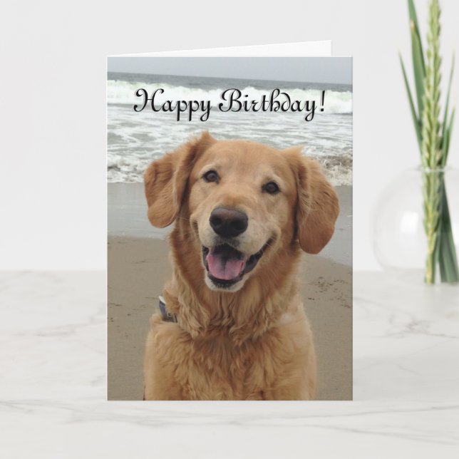 Cartes Pour Fêtes Annuelles Golden retriever de joyeux anniversaire (Devant)