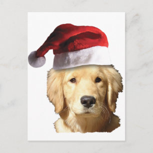 Cartes Pour Fêtes Annuelles Golden Retriever de Noël