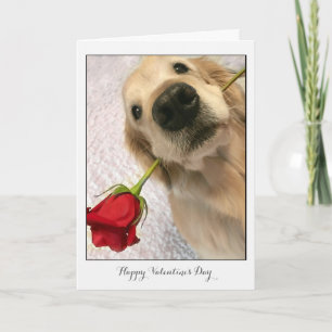 Cartes Pour Fêtes Annuelles Golden Retriever Dog with Red Rose Valentine's Day