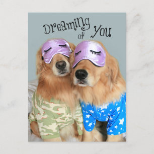 Cartes Pour Fêtes Annuelles Golden Retriever Dreaming of You Saint Valentin