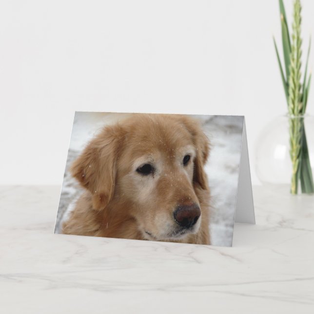 Cartes Pour Fêtes Annuelles Golden retriever en hiver (Devant)