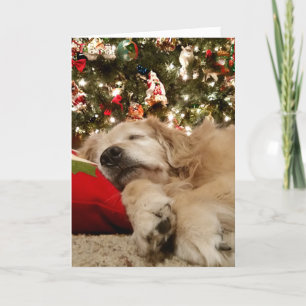 Cartes Pour Fêtes Annuelles Golden Retriever endormi sous l'arbre de Noël