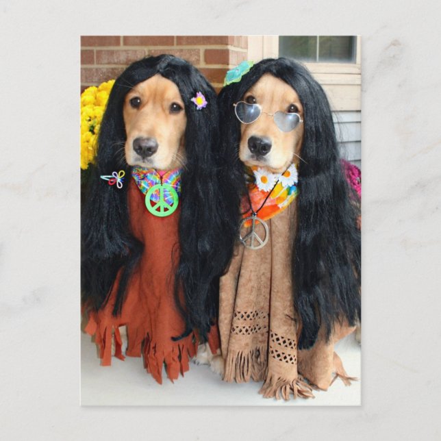 Cartes Pour Fêtes Annuelles Golden Retriever Halloween Hippie Postcard (Devant)