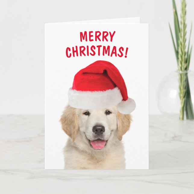 Cartes Pour Fêtes Annuelles Golden Retriever Joyeux Noël (Devant)