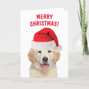 Cartes Pour Fêtes Annuelles Golden Retriever Joyeux Noël