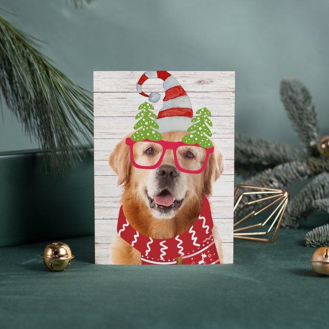 Cartes Pour Fêtes Annuelles Golden Retriever Lunettes de Noël Casquette Écarf  (Créateur téléchargé)