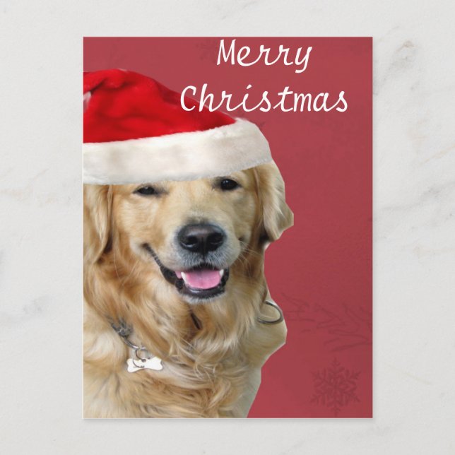 Cartes Pour Fêtes Annuelles Golden Retriever Merry Christmas (Devant)