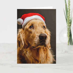 Cartes Pour Fêtes Annuelles Golden retriever posant pour son Noël