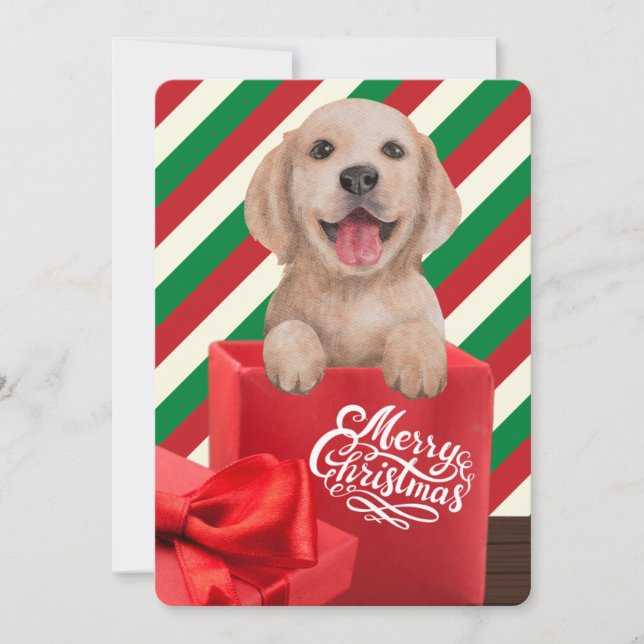 Cartes Pour Fêtes Annuelles Golden Retriever Puppy boîte cadeau Rouge Vert ban (Devant)