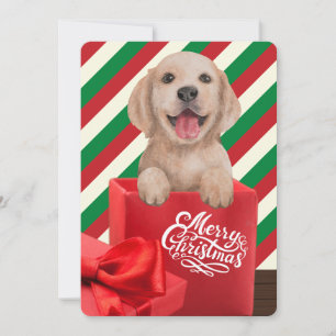 Cartes Pour Fêtes Annuelles Golden Retriever Puppy boîte cadeau Rouge Vert ban