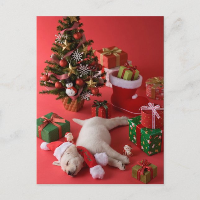 Cartes Pour Fêtes Annuelles Golden Retriever Puppy et Noël (Devant)