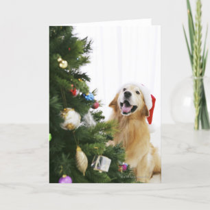 Cartes Pour Fêtes Annuelles Golden retriever qui observe l'arbre de Noël