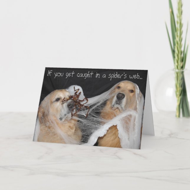 Cartes Pour Fêtes Annuelles Golden Retriever Spider Web Halloween (Devant)