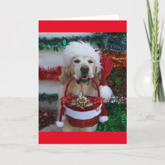Cartes Pour Fêtes Annuelles Golden Retriever tenant un panier de Noël