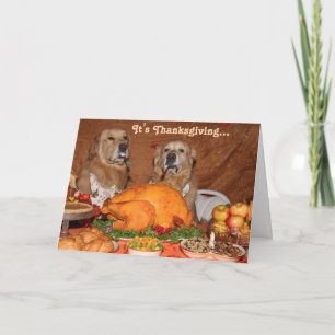Cartes Pour Fêtes Annuelles Golden Retriever Thanksgiving Fete
