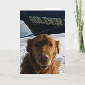 Cartes Pour Fêtes Annuelles Golden Retriever Valentine