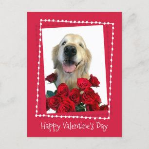 Cartes Pour Fêtes Annuelles Golden Retriever with Red Roses Saint Valentin