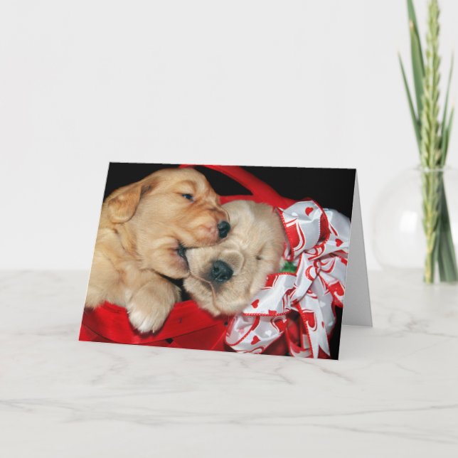 Cartes Pour Fêtes Annuelles Golden Retrievers Humour pour les jeunes mariés (Devant)