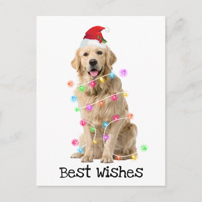 Cartes Pour Fêtes Annuelles Golden Retrior avec lumières de Noël (Devant)