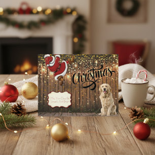 Cartes Pour Fêtes Annuelles Golden Retrior Père Noël Christmas