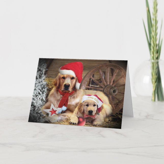Cartes Pour Fêtes Annuelles Golden Retrior style occidental Noël (Devant)