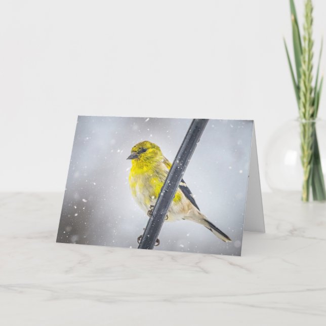 Cartes Pour Fêtes Annuelles Goldfinch in the snow Folded Christmas Card (Devant)
