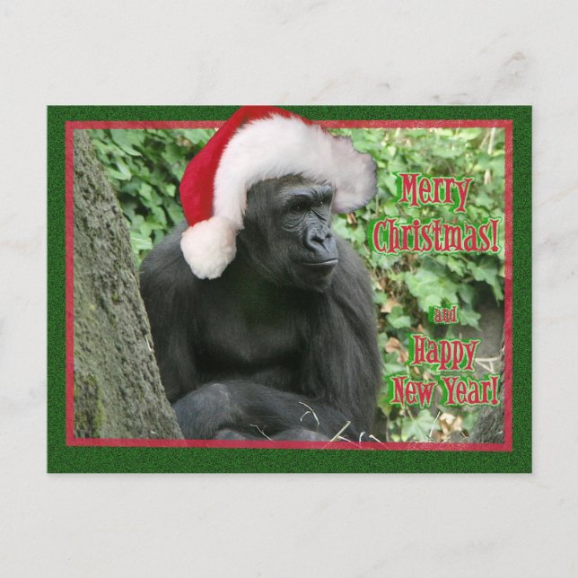 Cartes Pour Fêtes Annuelles Gorilla de Noël (Devant)