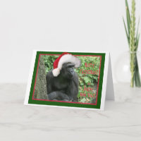 Gorilla de Noël