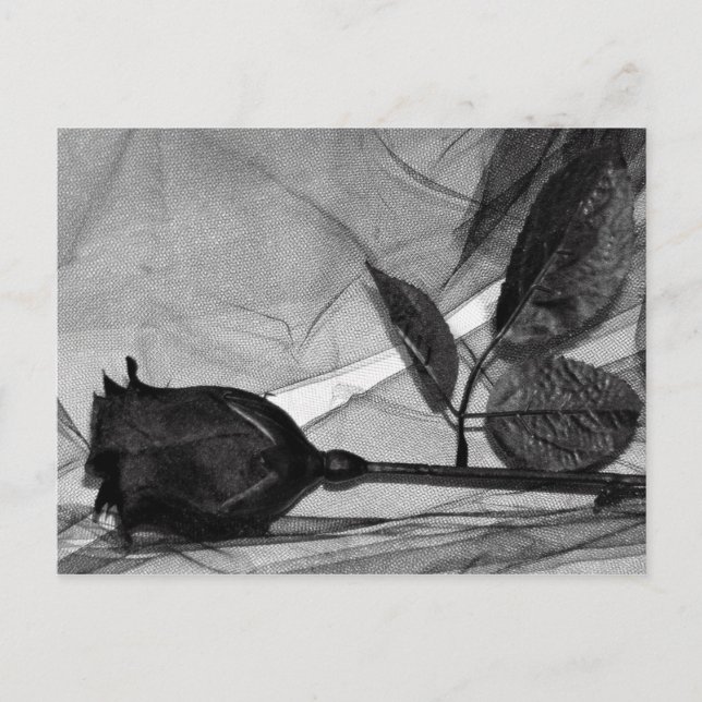 Cartes Pour Fêtes Annuelles Goth Valentine (Devant)