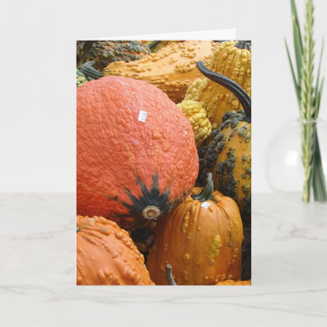 Cartes Pour Fêtes Annuelles Gourds, Thanksgiving (Devant)