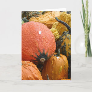 Cartes Pour Fêtes Annuelles Gourds, Thanksgiving