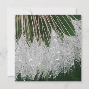 Cartes Pour Fêtes Annuelles gouttelettes d'eau