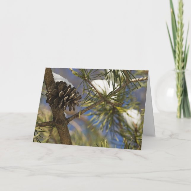 Cartes Pour Fêtes Annuelles Graines de l'arbre (Devant)