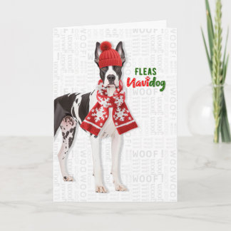 Cartes Pour Fêtes Annuelles Grand Danois Chien Drôle Puces Navidog Noël